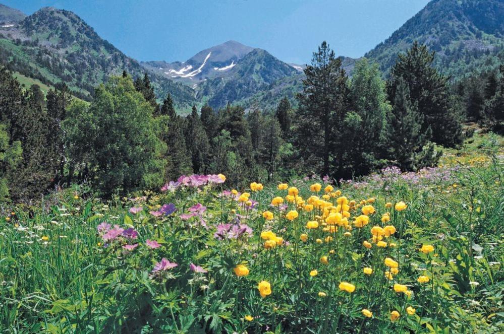 Hotel Xalet Verdu Arinsal Luaran gambar